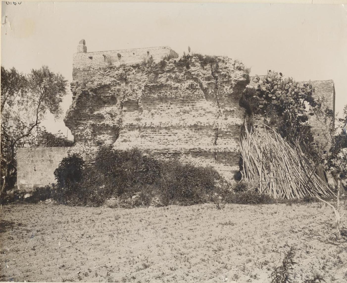 Cuma Tempio del Gigante (negativo) di Anonimo (XIX)