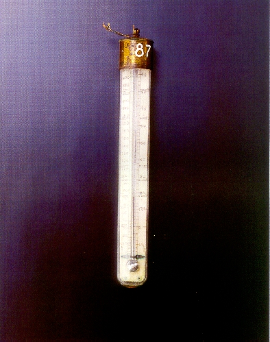 termometro, a mercurio per bagno di Donegani G. B (sec. XIX)