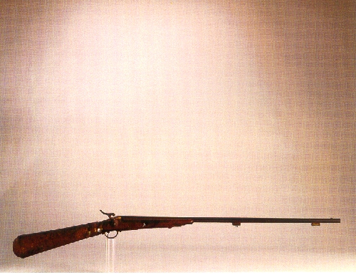 fucile, pneumatico di Schembor, Gutter di Norimberga (sec. XIX)