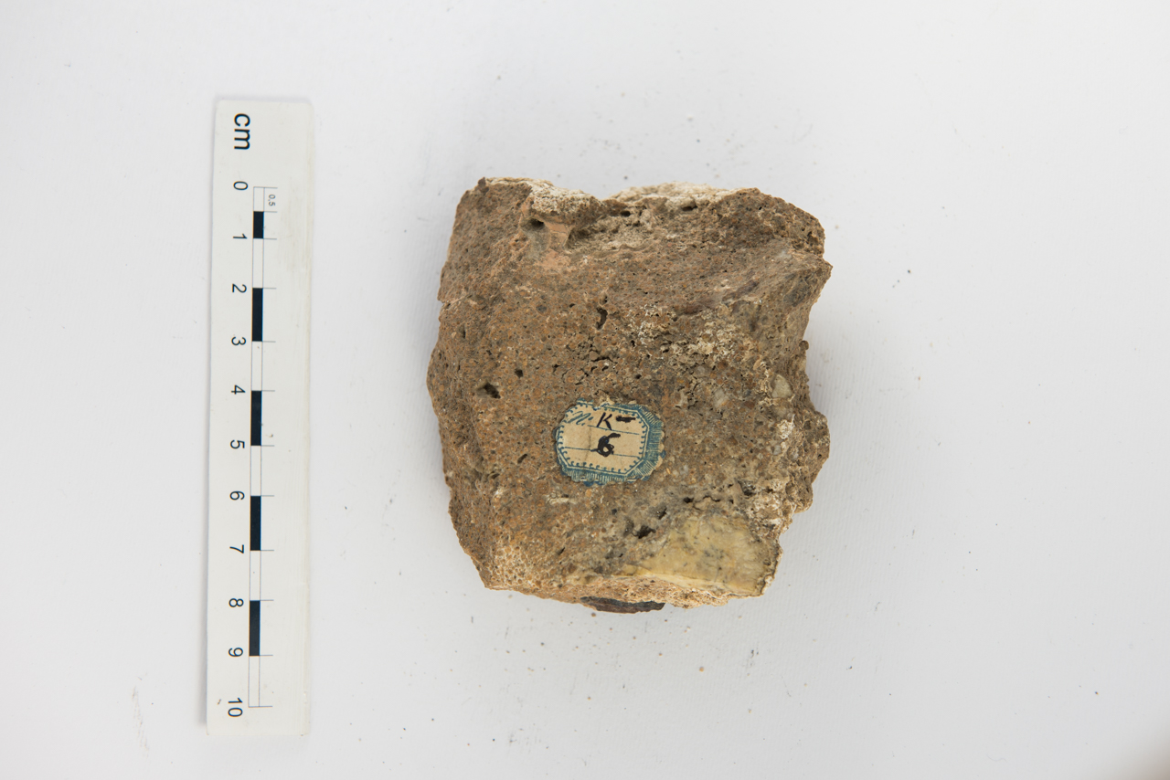 Argillite (esemplare)