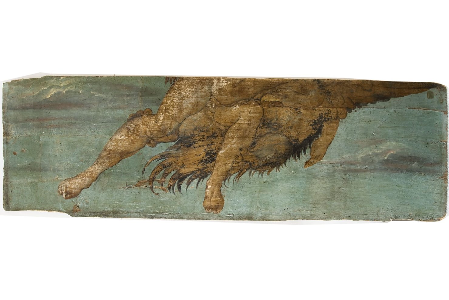 Ganimede (dipinto, frammento) di Lattanzio Pagani (attribuito) (prima metà sec. XVI)
