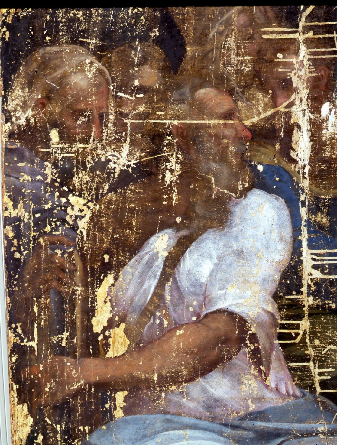 disputa di Gesù con i dottori nel tempio (dipinto, opera isolata) di Alfani Orazio di Domenico (attribuito) (ultimo quarto sec. XVI)