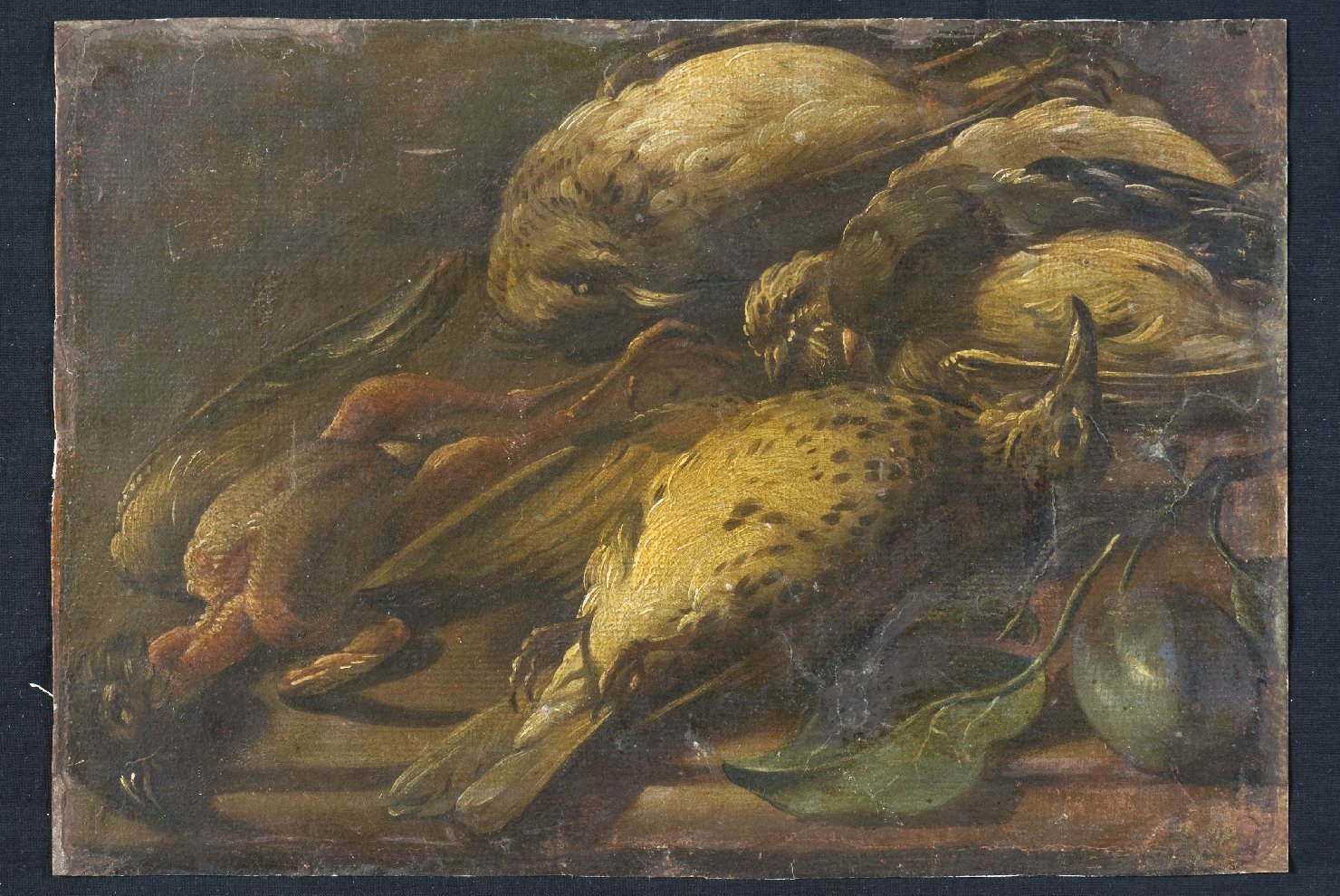 natura morta con cacciagione (dipinto, opera isolata) - ambito bolognese (sec. XVIII)