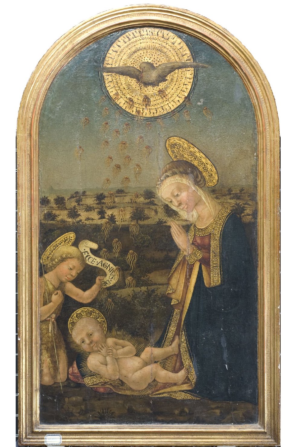 Madonna in adorazione del Bambino con San Giovanni Battista bambino (dipinto, opera isolata) - ambito fiorentino (seconda metà sec. XV)