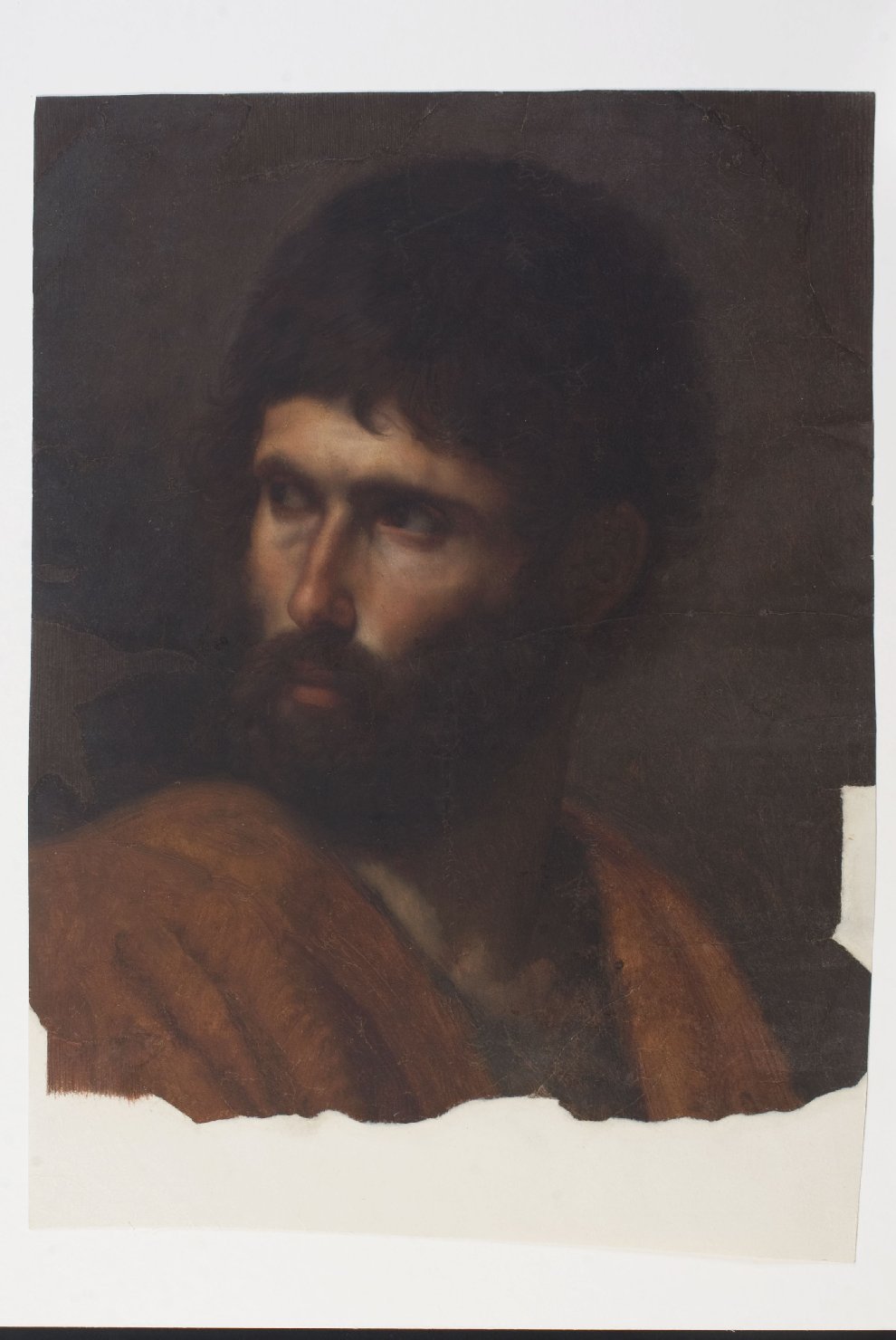 testa d'uomo (dipinto, opera isolata) di Wicar Jean Baptiste (fine/inizio secc. XVIII/ XIX)