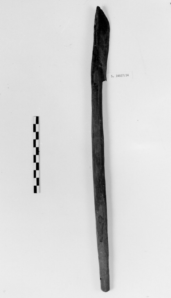 Timone (Medio Regno)