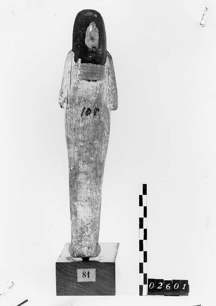 Ushabti mummiforme, Schneider Cl.VA (Nuovo Regno XIX-XX)