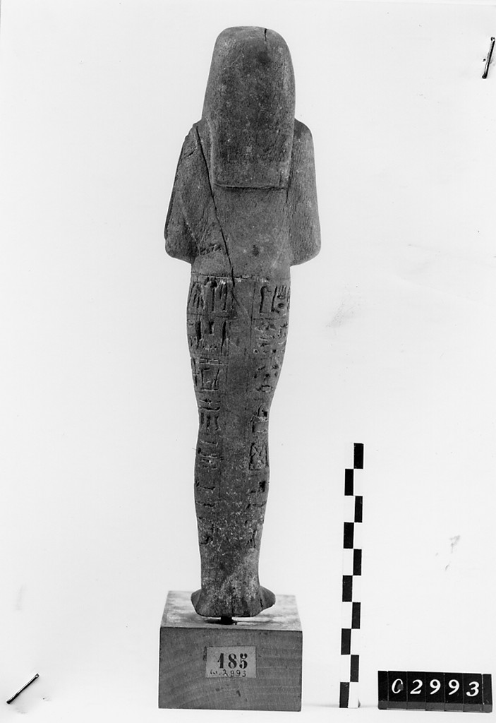 Ushabti mummiforme, Schneider Cl.VB4 (Nuovo Regno XVIII-XIX)