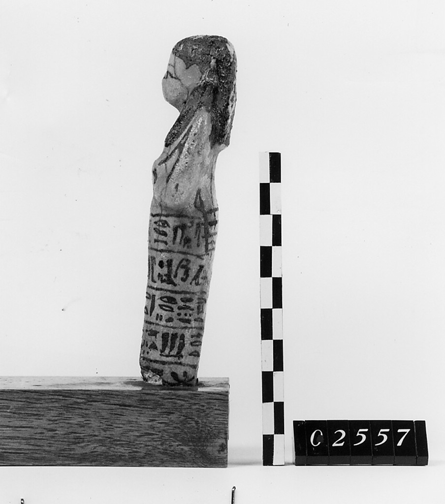 Ushabti mummiforme, Schneider Cl.VIIIA1 (III periodo intermedio)