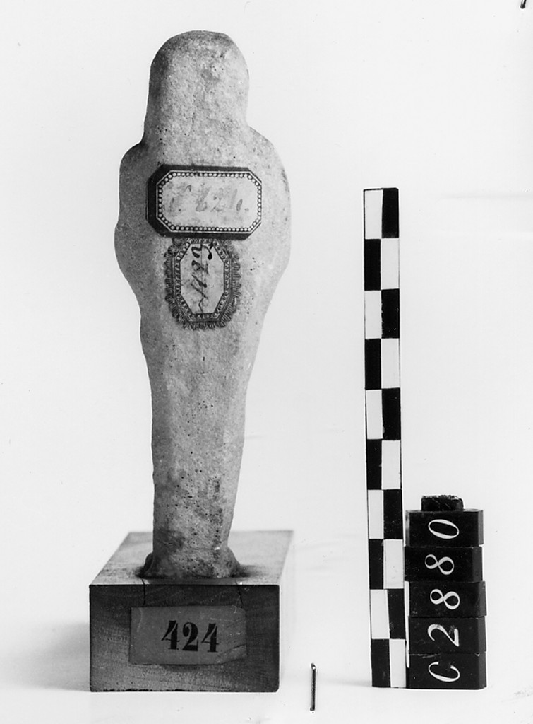 Ushabti mummiforme con pilastro dorsale, Schneider Cl.XIA5 (Epoca Tolemaica)