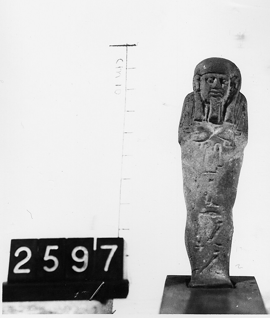 Ushabti mummiforme con pilastro dorsale, Schneider Cl.XIA5 (Epoca tarda)
