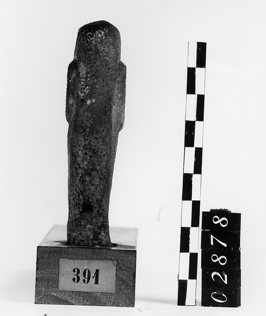 Ushabti mummiforme con pilastro dorsale, Schneider Cl. XIA5 (Epoca tarda)