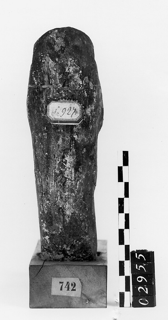 Ushabti mummiforme, Schneider Cl. VF (Fine Nuovo Regno XX)