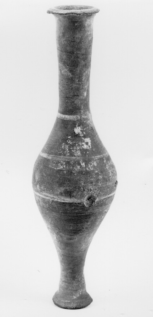 Linee parallele (Balsamario) (tolemaico)