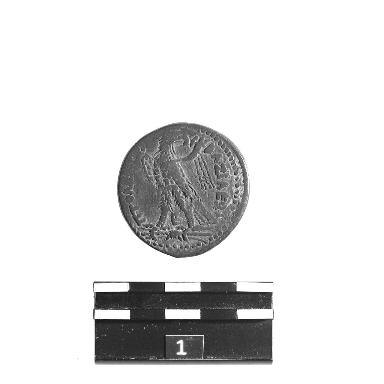 Moneta, SNG Cop. 40, n. 228 (Sec. III a.C)
