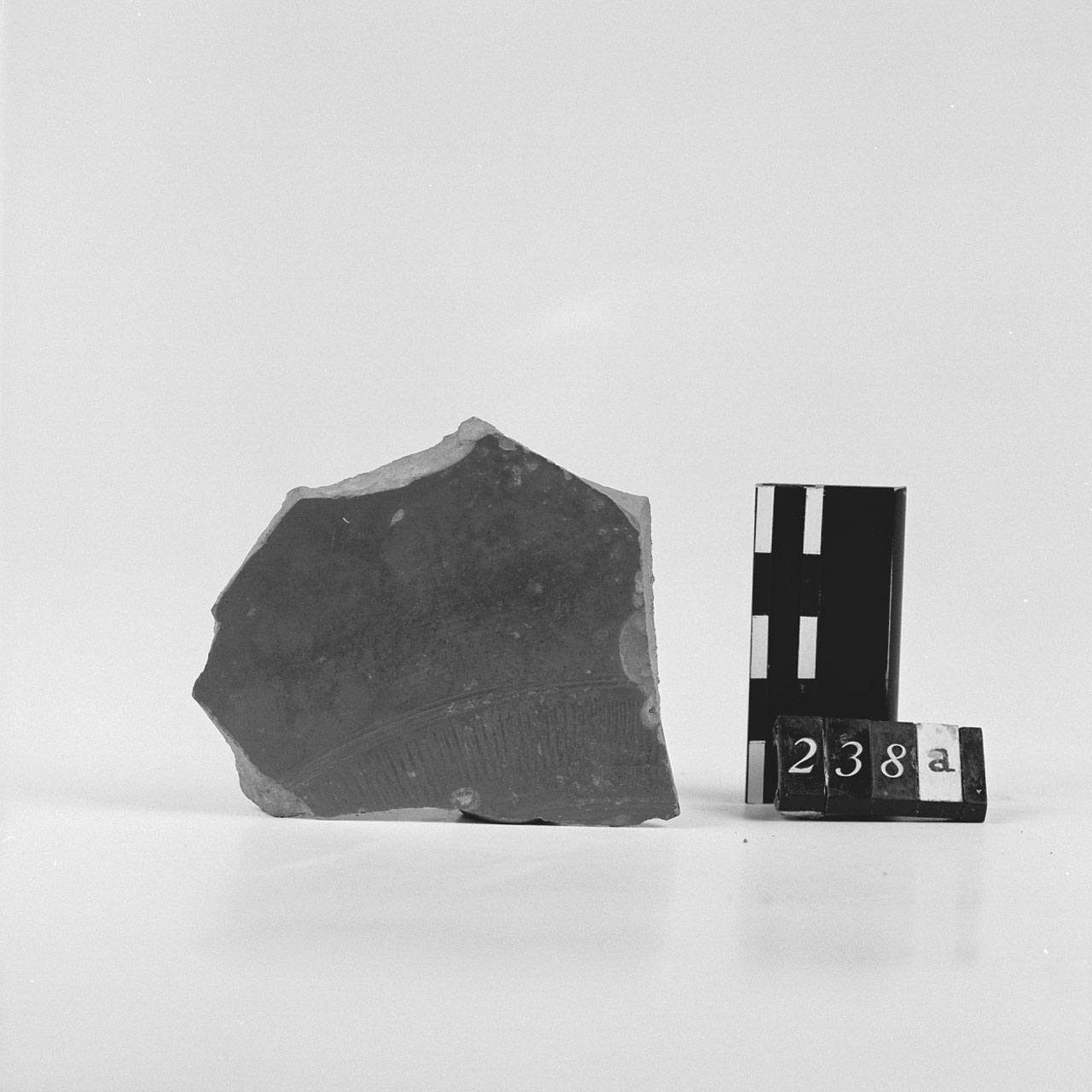 Fondo/ frammento (Sec. I d.C)