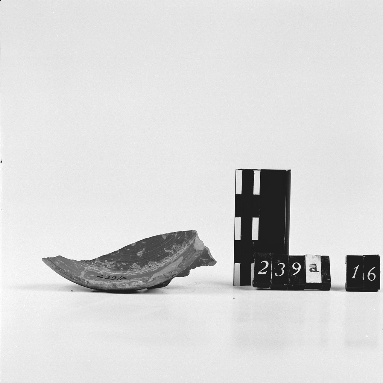 Fondo/ frammento (Secondo quarto Sec. I d.C)