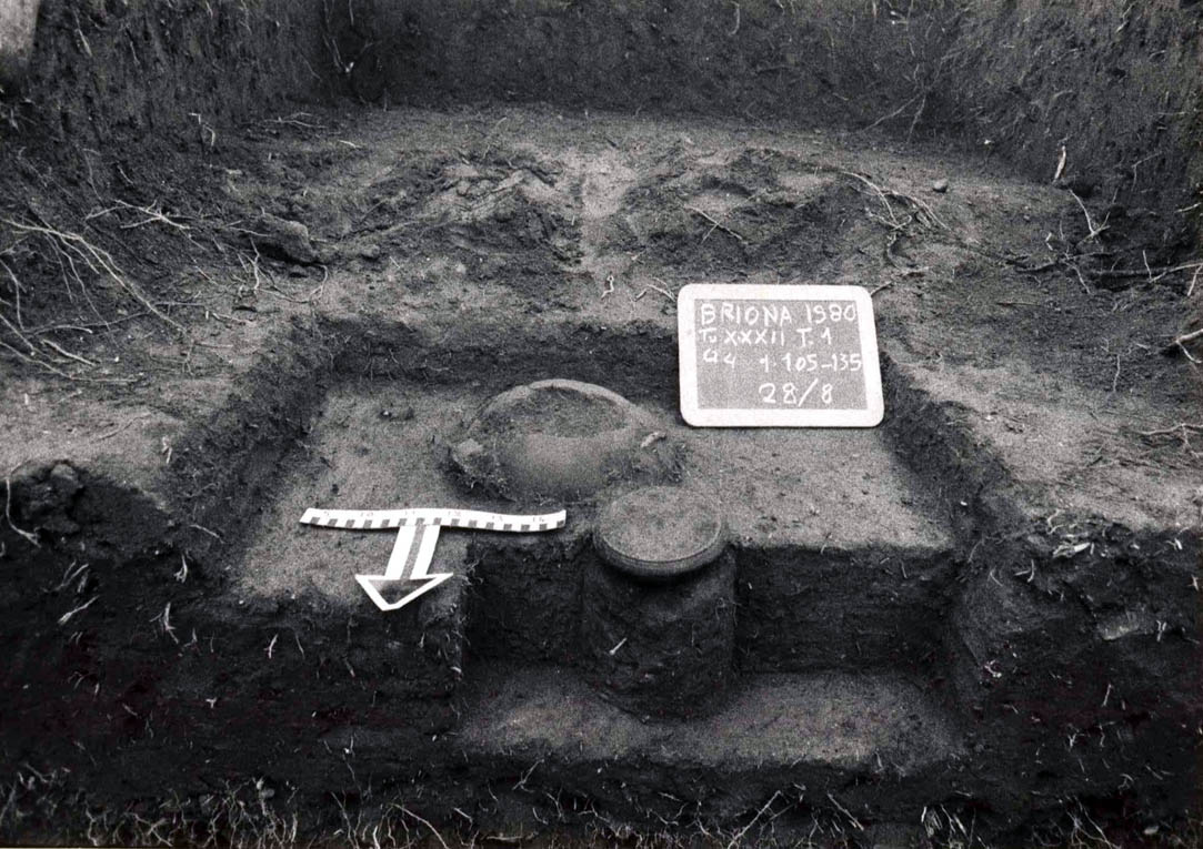 RESTI DI UNA NECROPOLI A TUMULI DELL'ETA' DEL FERRO (necropoli, area ad uso funerario) - Briona (NO)  (seconda metà Eta' del ferro)