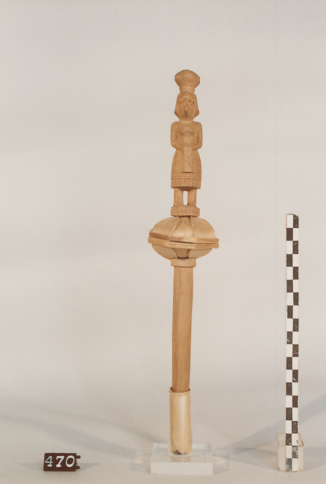 CONOCCHIA, strumenti per la filatura - artigianato pastorale (sec. XX seconda metà)