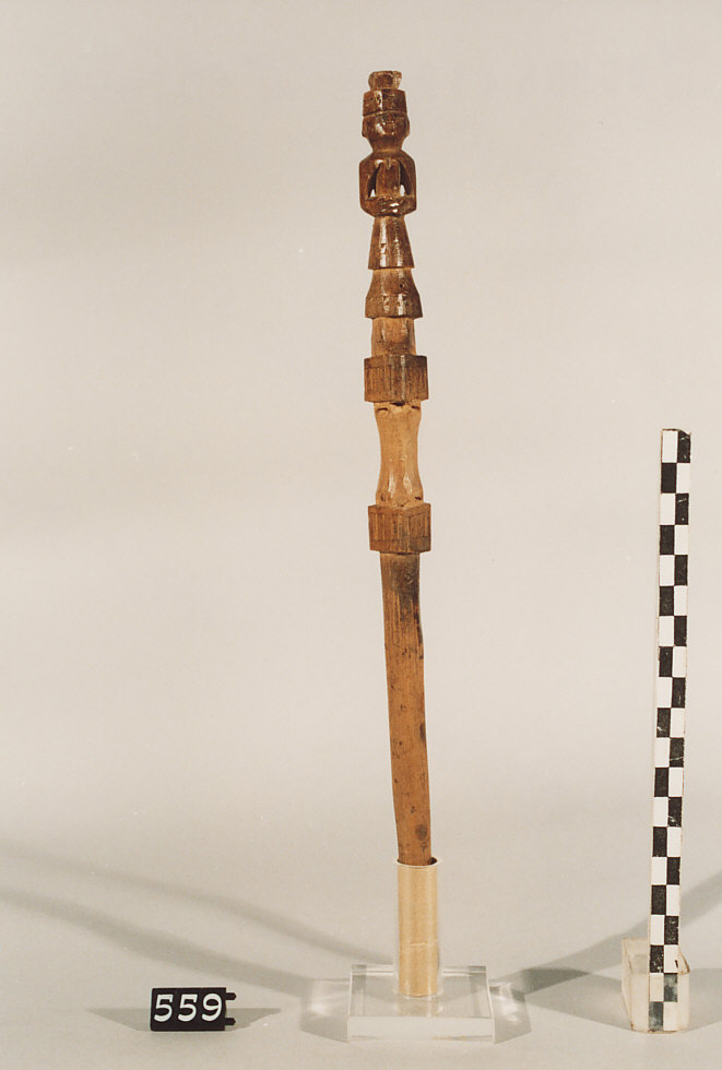 CONOCCHIA, strumenti per la filatura - artigianato pastorale (sec. XX)