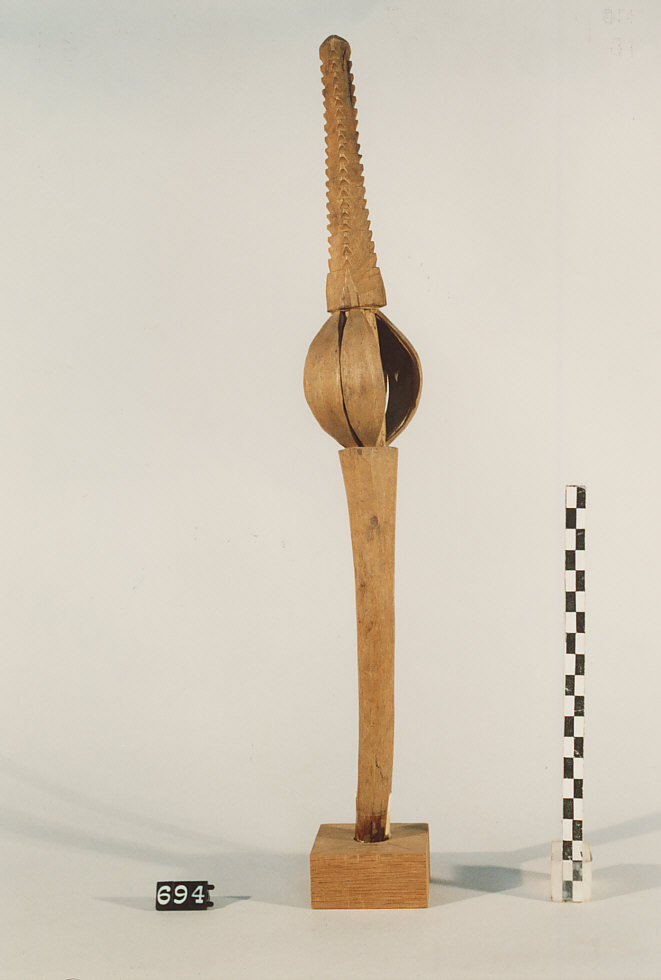 CONOCCHIA, strumenti per la filatura - artigianato pastorale (sec. XX)