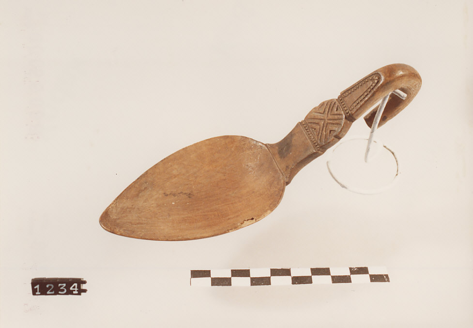 CUCCHIAIO PER RICOTTA, utensili per la pastorizia - artigianato pastorale (sec. XX prima metà)