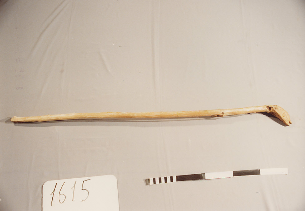 BASTONE DA PASTORE, utensili per la pastorizia - artigianato pastorale (sec. XX seconda metà)