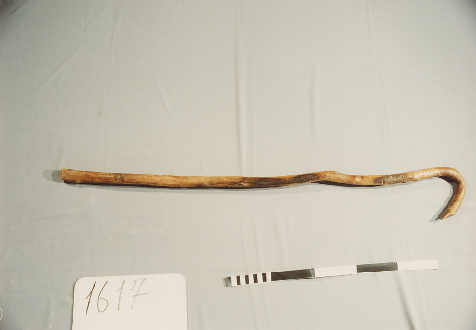 BASTONE DA PASTORE, utensili per la pastorizia - artigianato pastorale (sec. XX prima metà)