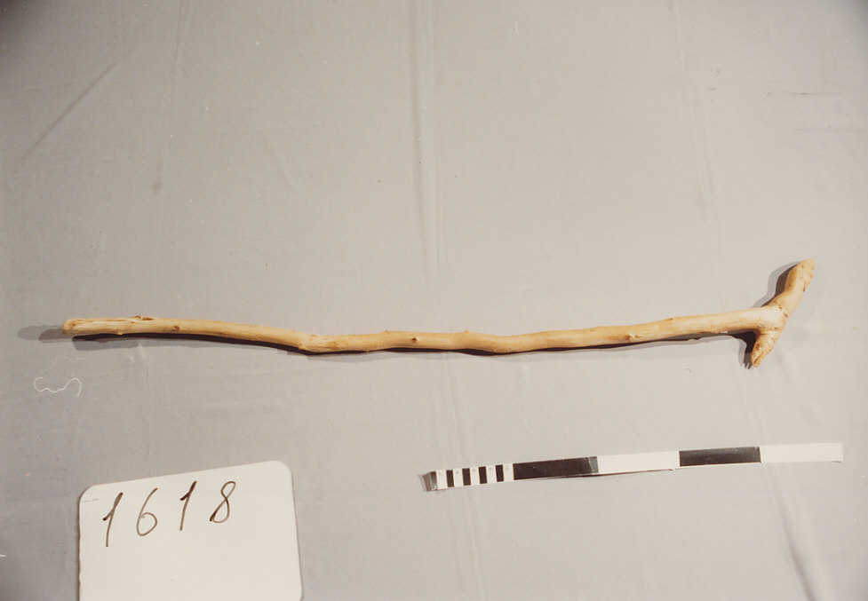 BASTONE DA PASTORE, utensili per la pastorizia - artigianato pastorale (sec. XX seconda metà)