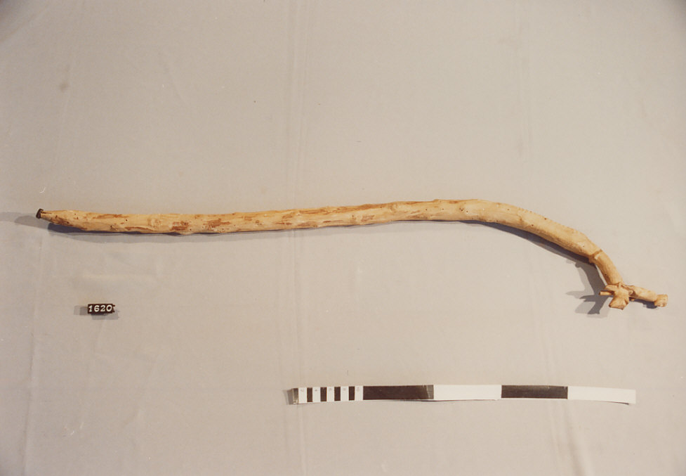 BASTONE DA PASTORE, utensili per la pastorizia - artigianato pastorale (sec. XX seconda metà)