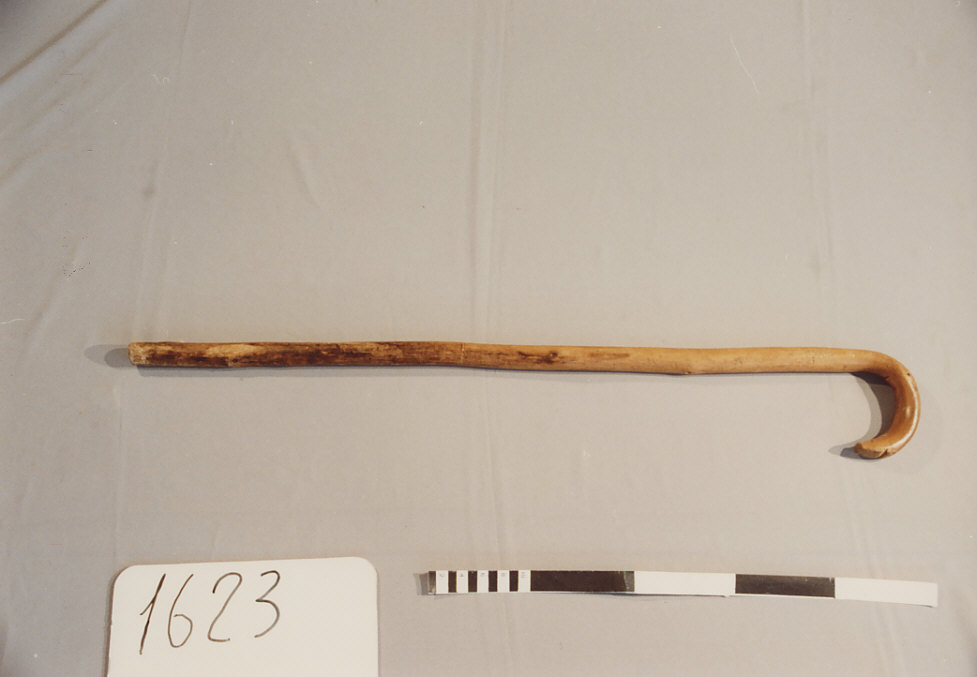 BASTONE DA PASTORE, utensili per la pastorizia - artigianato pastorale (sec. XX prima metà)