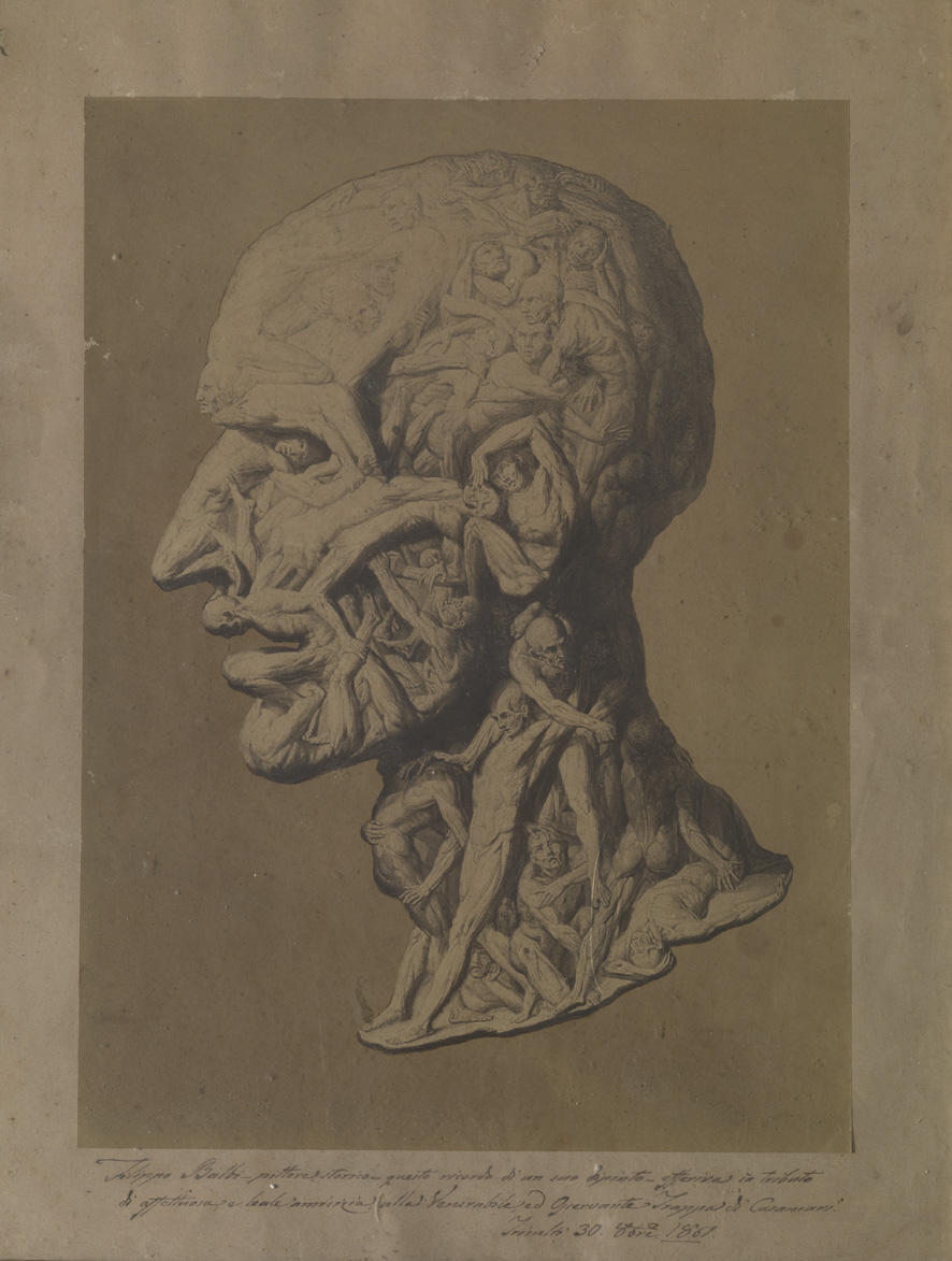 Testa anatomica (disegno) di Balbi Filippo (sec. XIX)