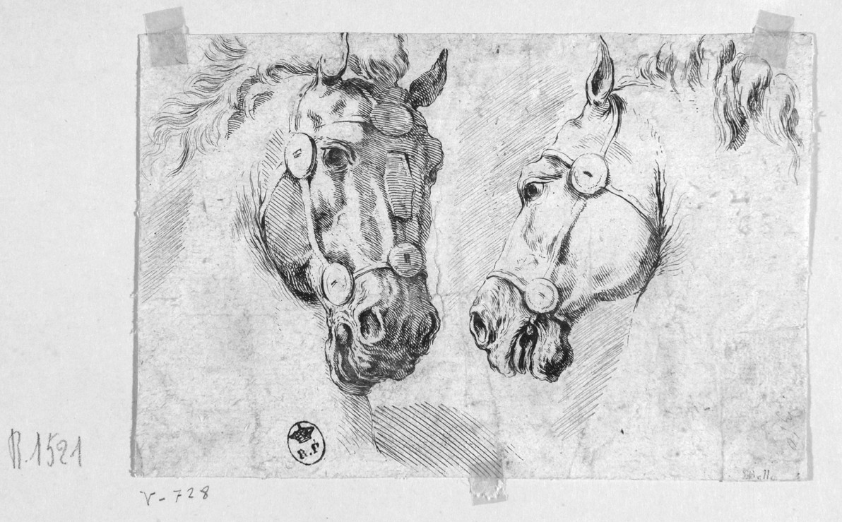teste di cavallo (stampa smarginata, serie) di Della Bella Stefano (sec. XVII)