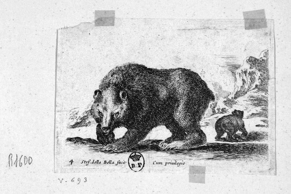 orso (stampa, serie) di Della Bella Stefano (sec. XVII)