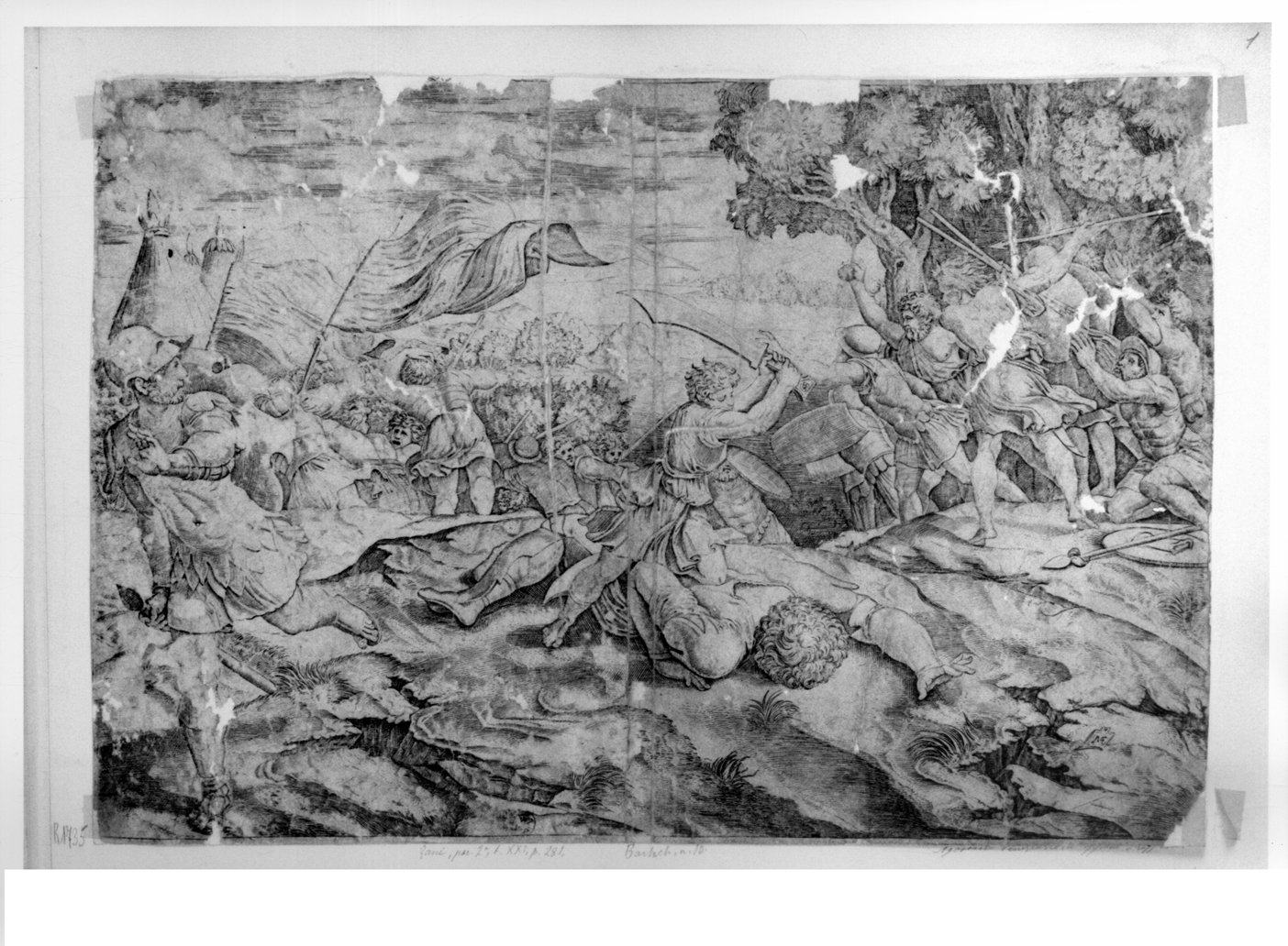 David decapita Golia (stampa smarginata) di Sanzio Raffaello (attribuito), Raimondi Marcantonio, De Musi Agostino (attribuito) (sec. XVI)