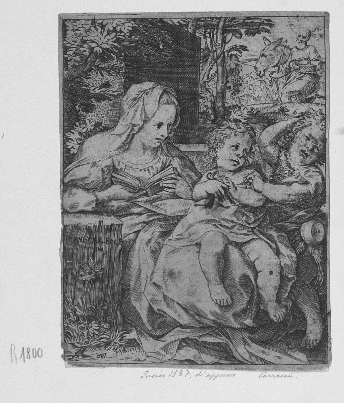 La Madonna della Rondinella, Sacra Famiglia con San Giovannino (stampa smarginata) di Carracci Annibale (sec. XVI)