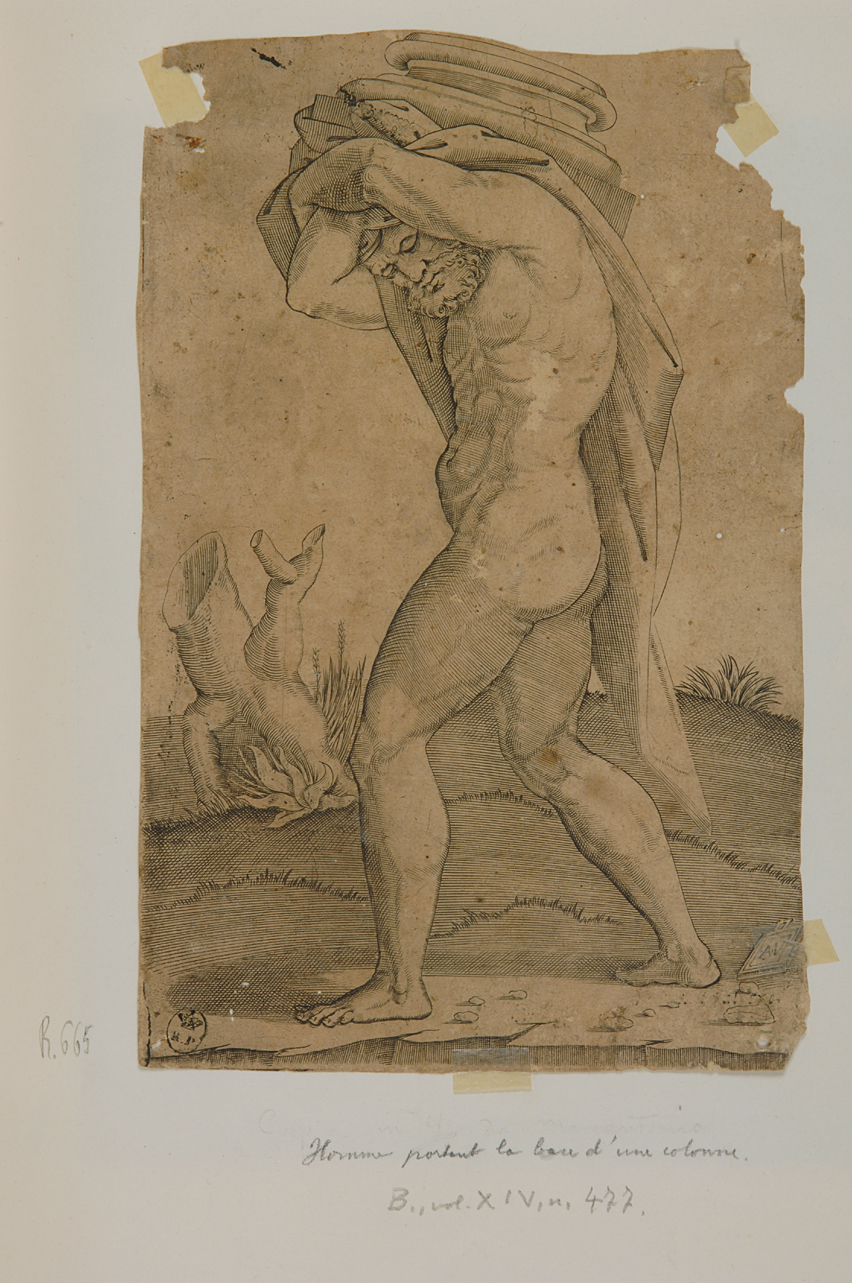 figura maschile nuda con base di colonna (stampa smarginata) di De Musi Agostino (prima metà sec. XVI)