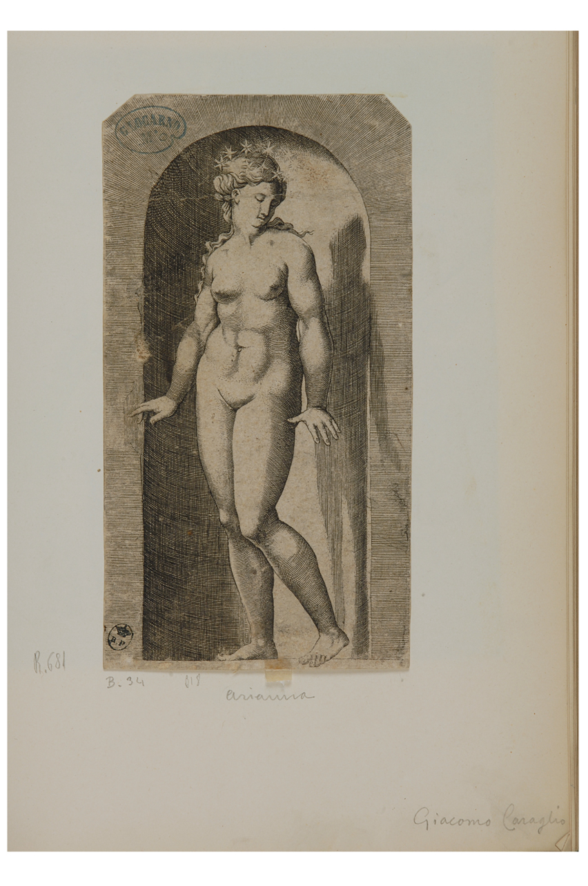 Arianna (stampa tagliata, serie) di Caraglio Gian Giacomo, di Jacopo Giovan Battista detto Rosso Fiorentino (seconda metà sec. XVI)