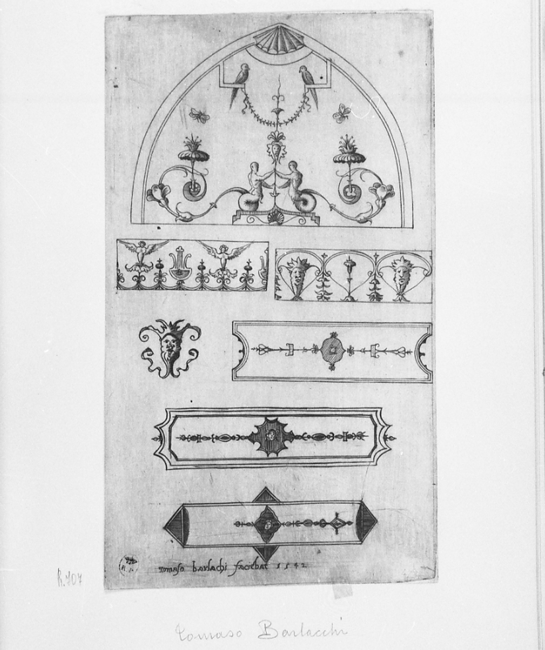 motivi decorativi a grottesche (stampa smarginata, serie) di Vico Enea (secondo quarto sec. XVI)