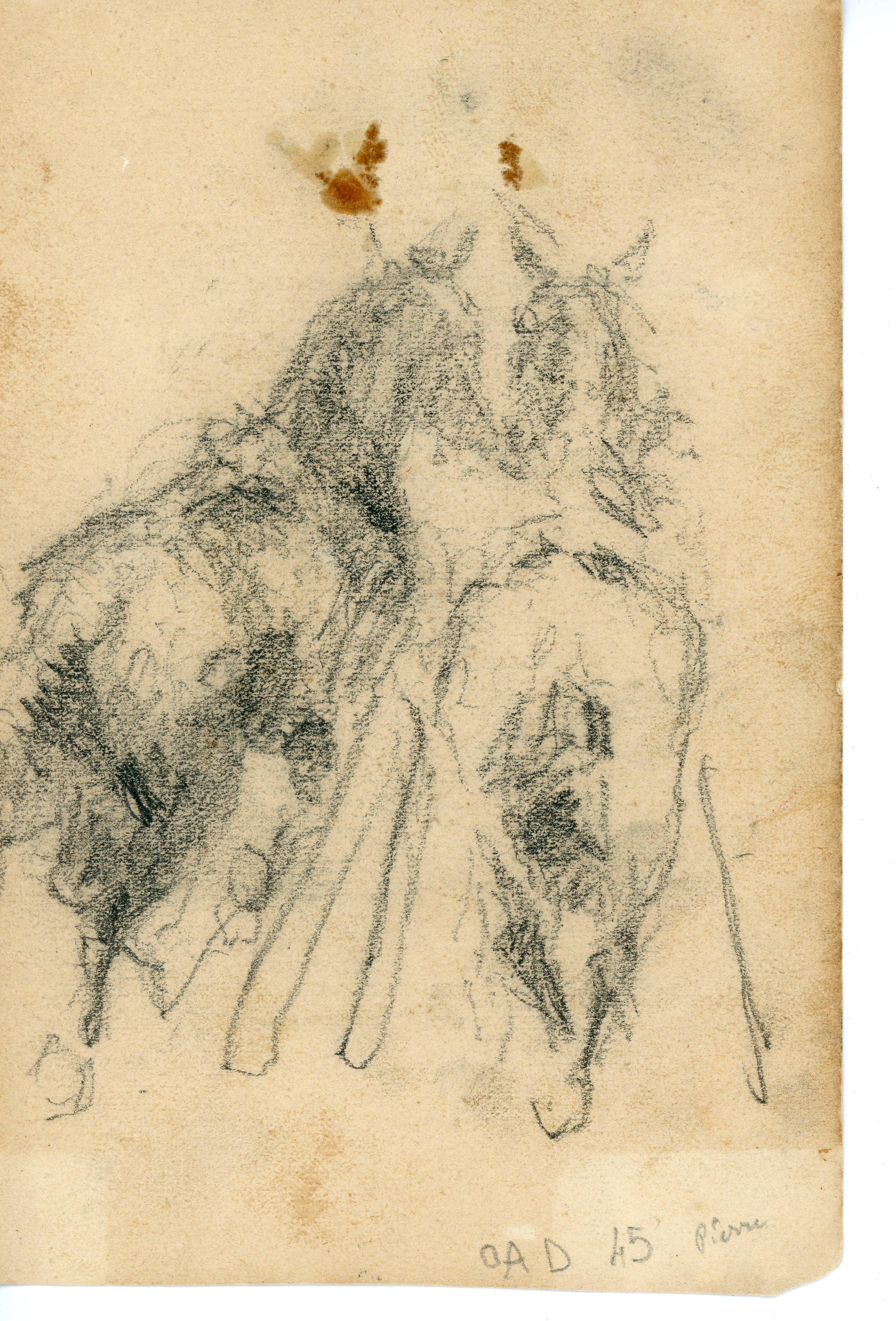 Cavalli (disegno) di Troubetzkoy, Pierre - ambito italiano (fine/ metà XIX/ XX)
