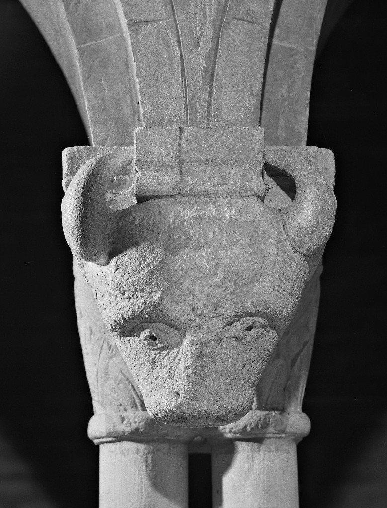 testa di toro (capitello) - manifattura emiliana (sec. XII)