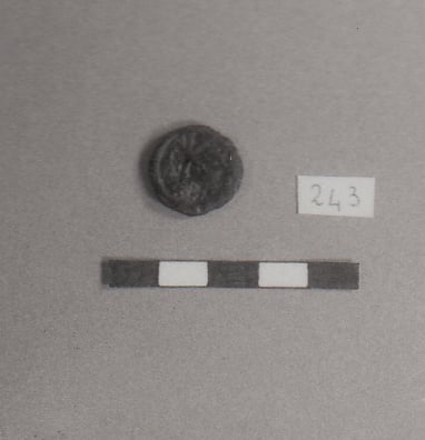 moneta - mezzo follis (VI)