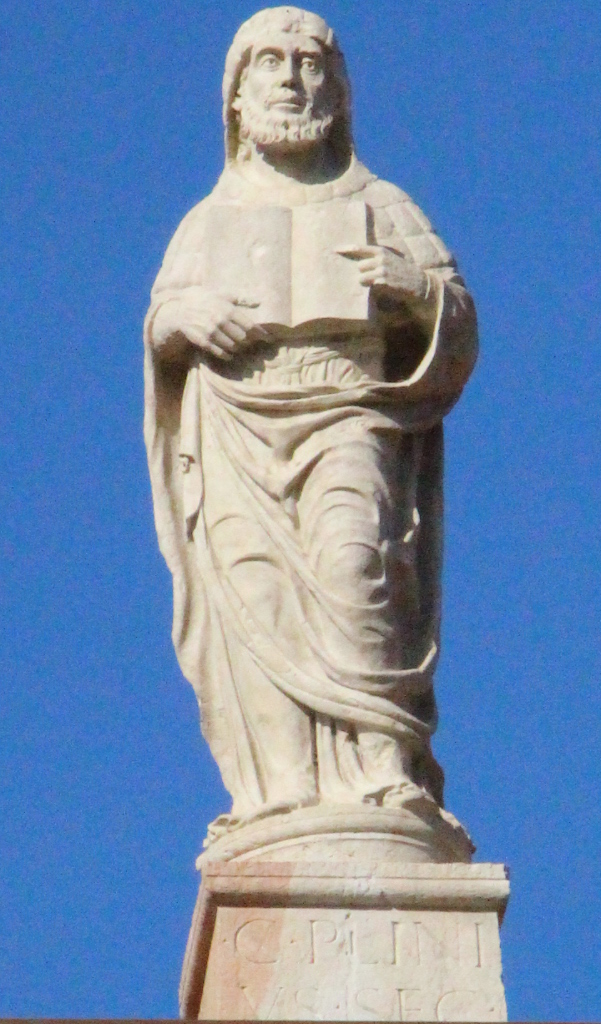 Plinio il Vecchio (statua) di Alberto da Milano (sec. XV)