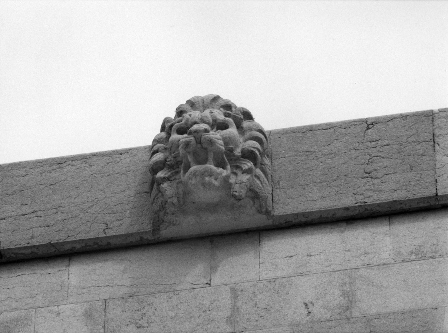 testa di leone (rilievo, serie) - ambito veneto (sec. XX)