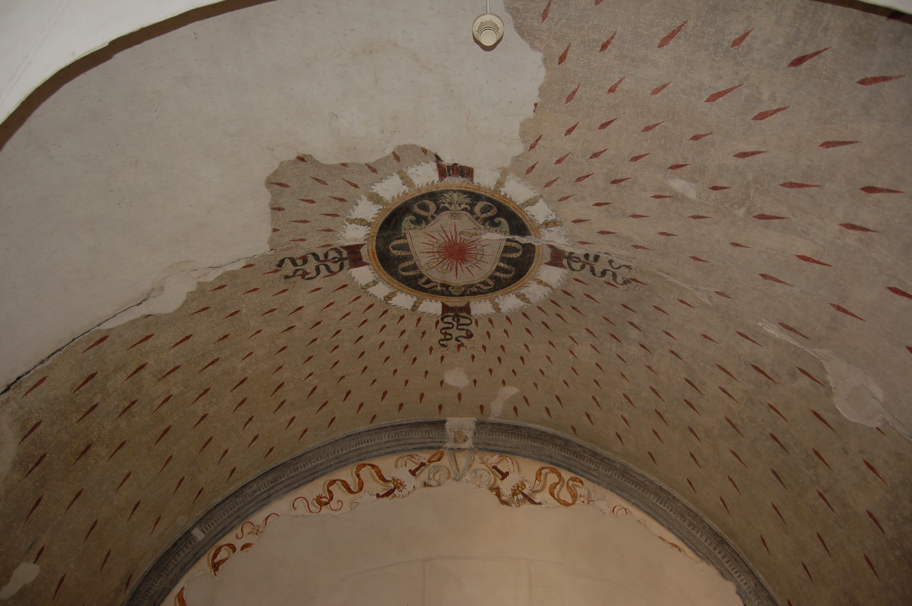 decorazioni ornamentali con elemento araldico (decorazione pittorica, elemento d'insieme) - ambito italiano (sec. XVI)