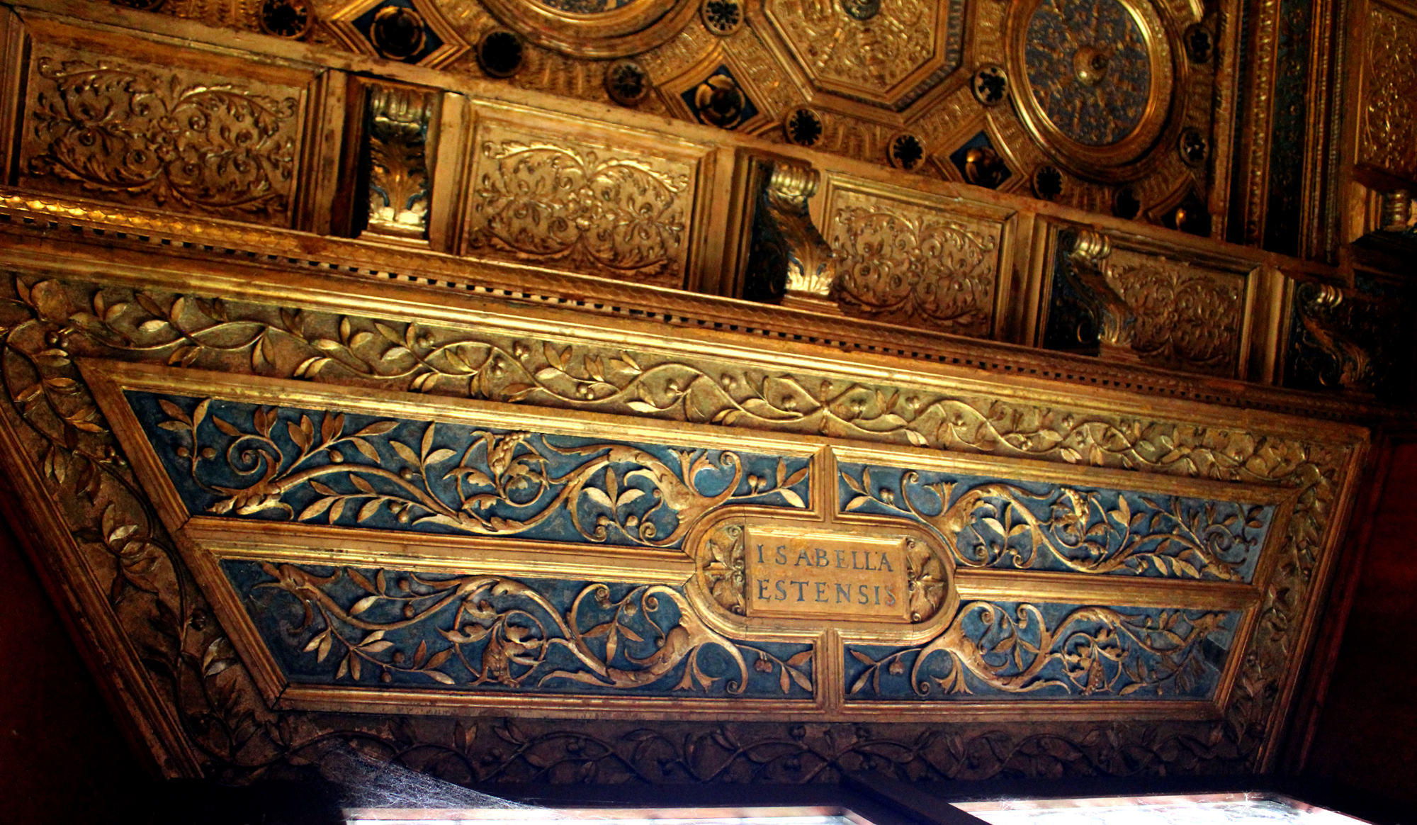 decorazioni fitomorfe a girali (soffitto) (sec. XVI)