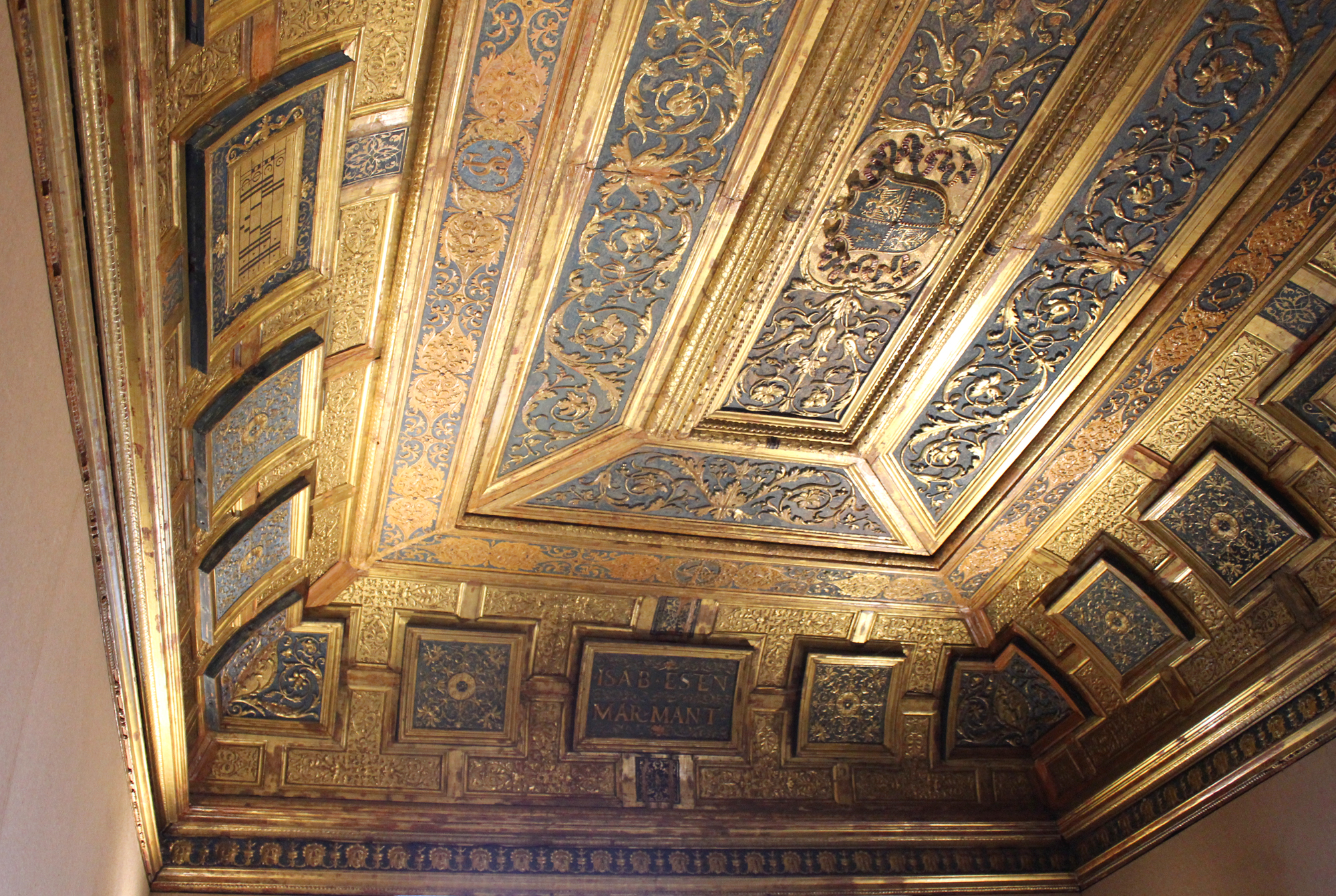 decorazioni fitomorfe a girali, mascheroni, imprese araldiche e stemma famigliare (soffitto) (sec. XVI)