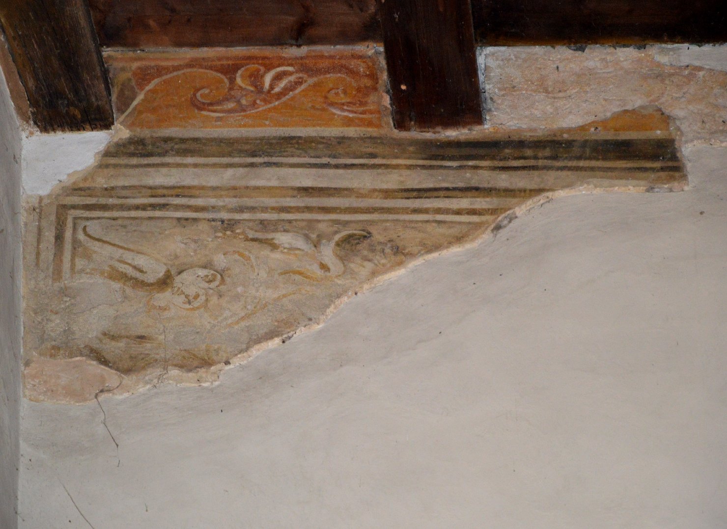 motivi ad onda, girali fitomorfi (decorazione pittorica, elemento d'insieme) di Pippi Giulio detto Giulio Romano (bottega) (sec. XVI)