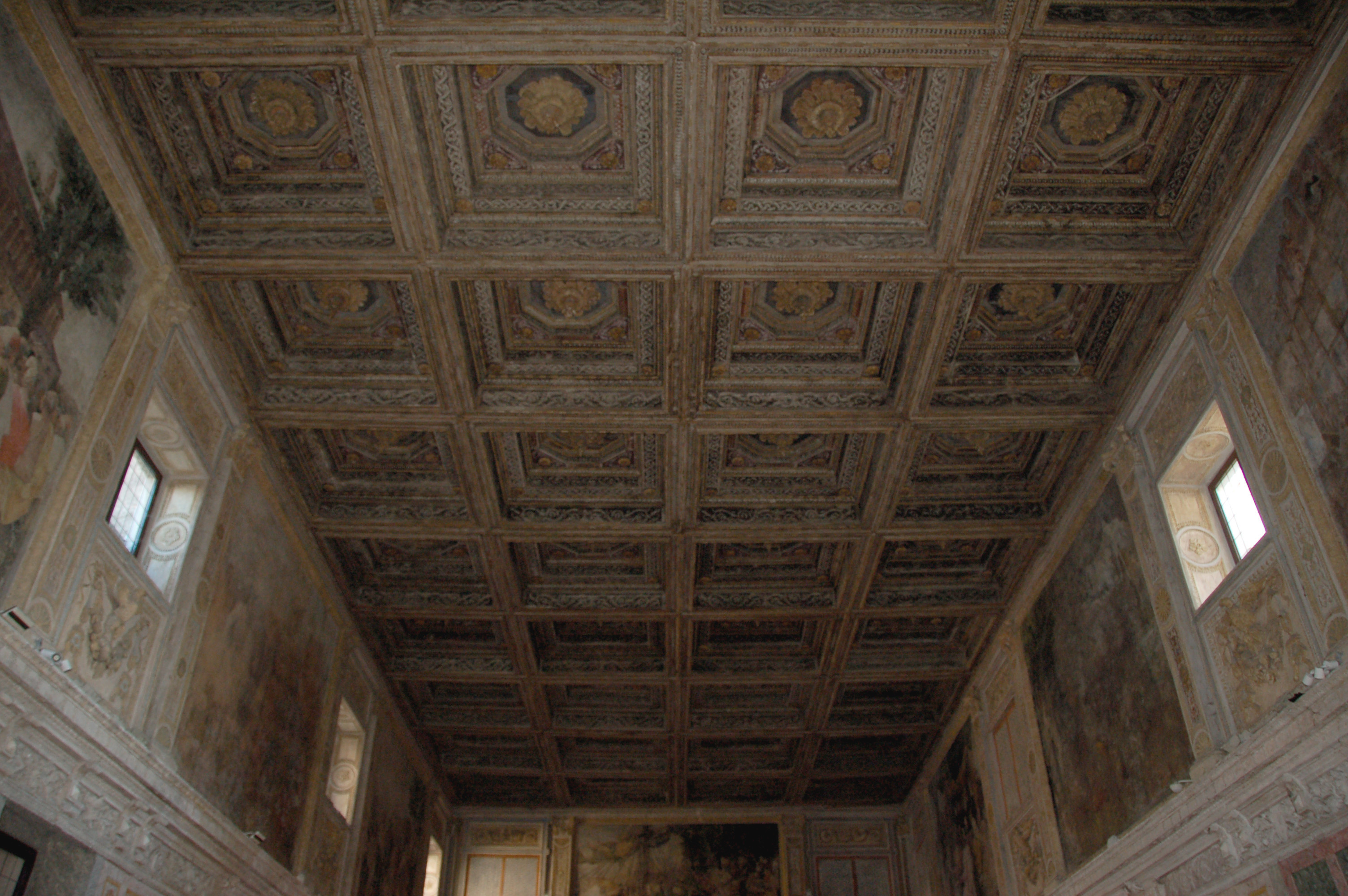 Motivi decorativi fitomorfi (soffitto a cassettoni, elemento d'insieme) di Bertani Giovanni Battista detto Brizio (attribuito) - bottega mantovana (terzo quarto sec. XVI)