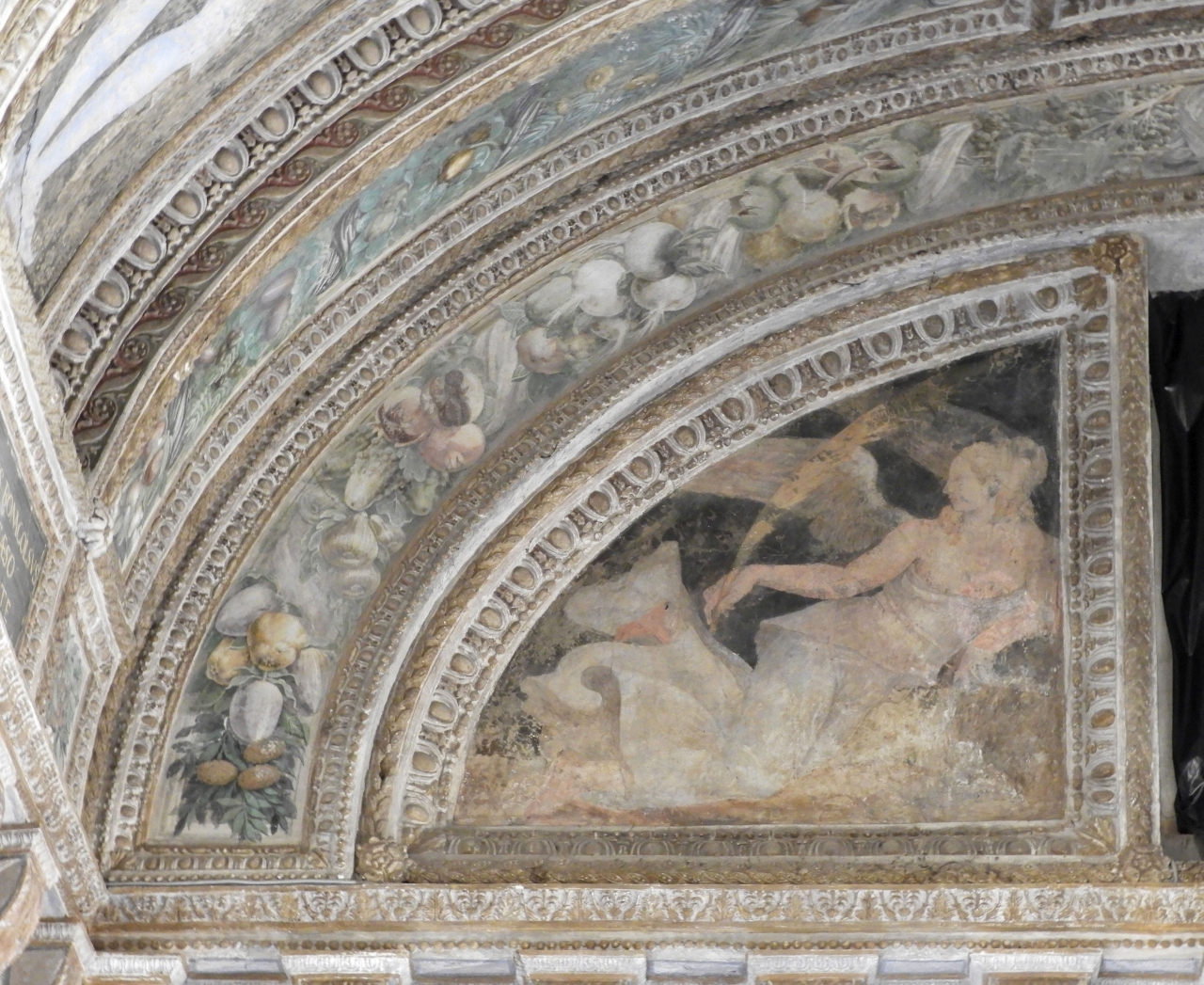 Vittoria, Fama (dipinto murale, coppia) di Bertani Giovanni Battista, Ghisoni Fermo detto Fermo da Caravaggio (attribuito) (terzo quarto sec. XVI)